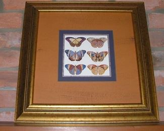 Framed Butterflies
