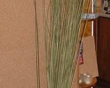 Umbrella stand with Reeds