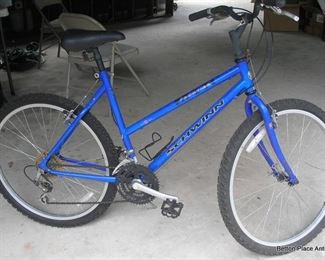 Schwinn Bike