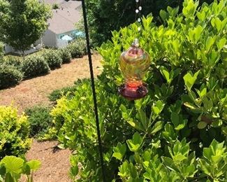 Garden .... Garden ....and more garden