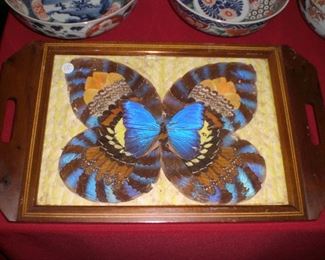 butterfly tray