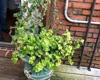 Concrete urns and more