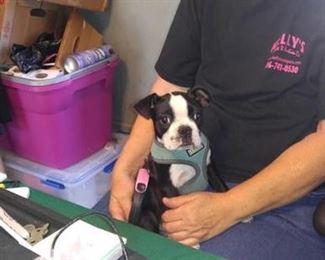 Sharron Corley second cashier 