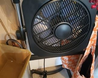 Fan