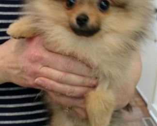 Priceless NOT FOR SALE   Someone offered 1 million