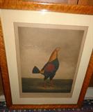 Antique hand colored engraving; half of the pair : "War" and "Peace"