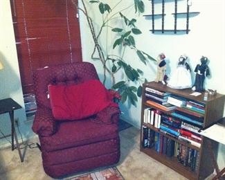 Recliner, bookshelf, plant, books