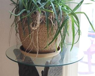 Happy aloe plant, butterfly side table