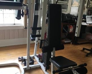 Entire gym $500