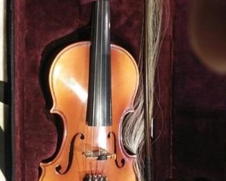 beautiful Violin