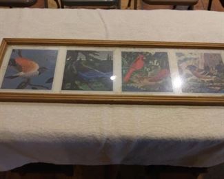 bird pictures in nice frame