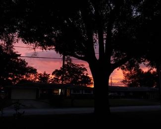 There is beauty any time of the day if you take the time see it!