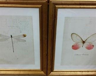 tbs dragonfly and moth framed pair