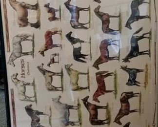 tbs horses poster