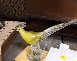Morano bird