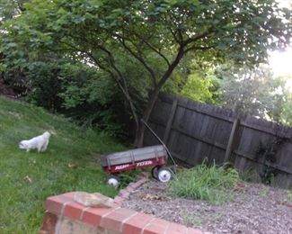 Radio Flyer wagon (doggie not for sale!).