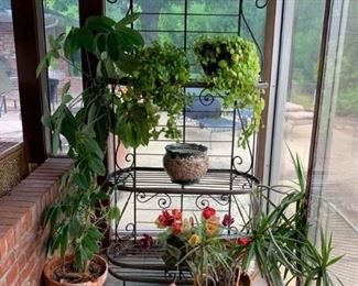 AH HA HA HA Staying Alive