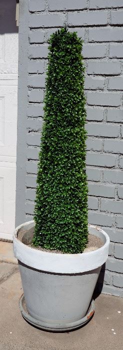 2 topiary trees that you never have to water. They look totally real!