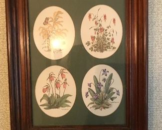 Nice sized framed print of flowers