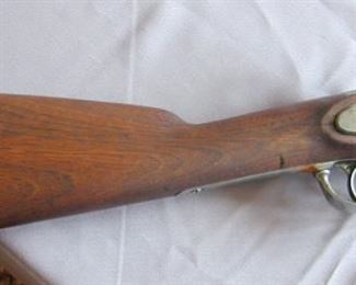 Close Up Of Springfield