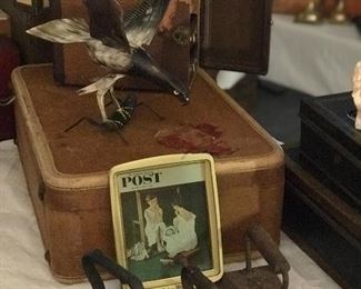 old luggage , metal banker's boxes , sad irons and so much more