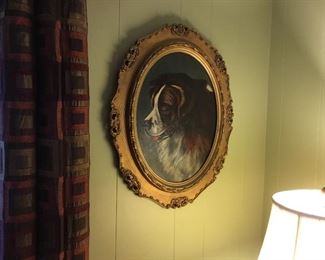 Portrait of a St. Bernard