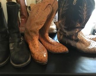Harley Davidson boots and more cowboy boots