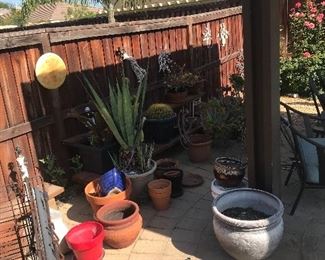 Pots and plants