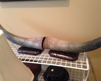 Mounted horns
