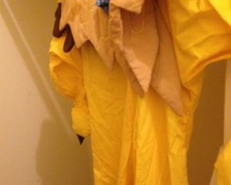 Sunflower costume