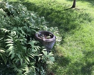 LAWN ORNAMENTS
