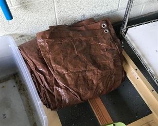 Tarp