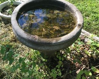 Bird bath