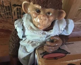 Not sure who this is ….. but he needs a home …. : )