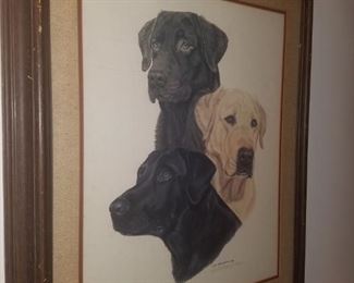 Framed Labs/Labrador Retriever print