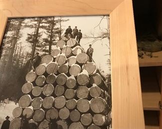 Old Logging  Photo - Northern Michigan