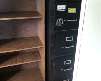 File Cabinet and Bookshelf