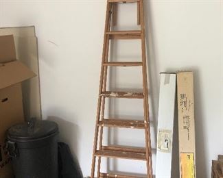lage 8 ft ladder