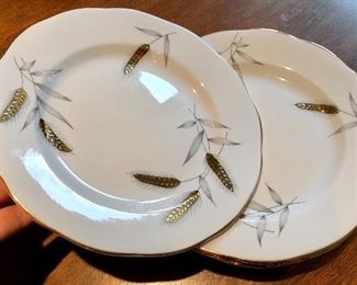 Salisbury bone china