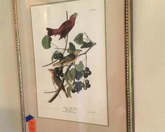 Amsterdam edition of Audubon by Ravell one of two