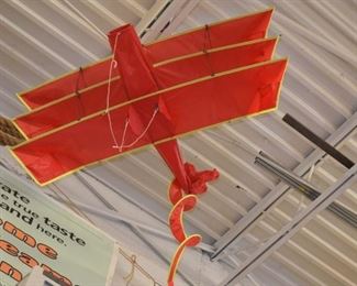 Tri plane beach kite - $35