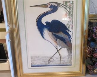 giant bird picture