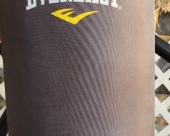 Everlast Punching Bag