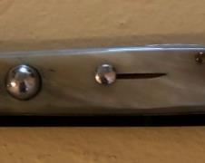 11" Stiletto Honey Horn