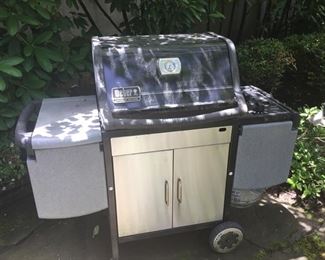 Weber Grill