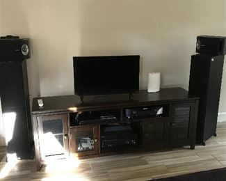 Theater Bose speakers