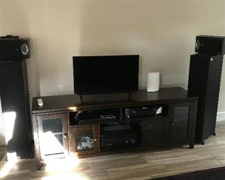 Theater Bose speakers 