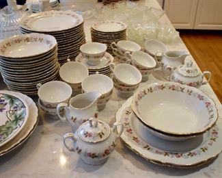 Bristol Spring Garden china