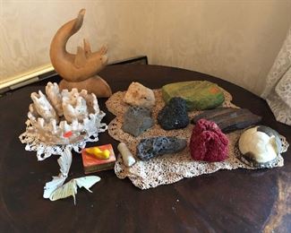 CH173: Fossils Rocks Plus, the Sea Plus Lot… Local Pickup   https://www.ebay.com/itm/123814746169 