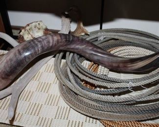 INDOOR, WING 1,  First Room on Left,  Lassos/Polished Kudu Horn